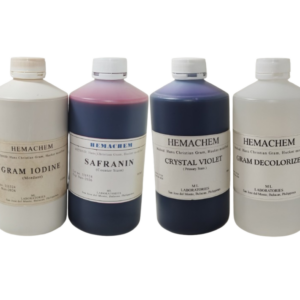 Gram Staining Kit